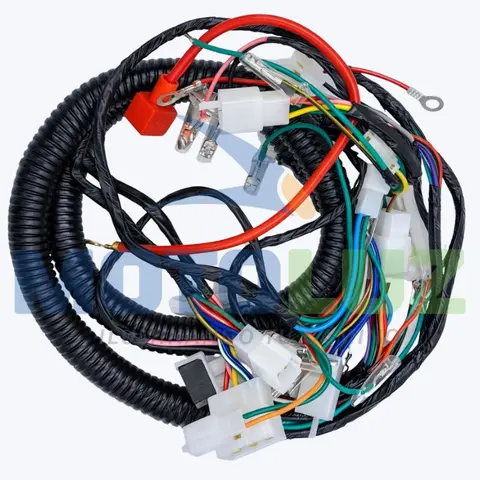 RAMAL ELECTRICO MOTO LINEAL