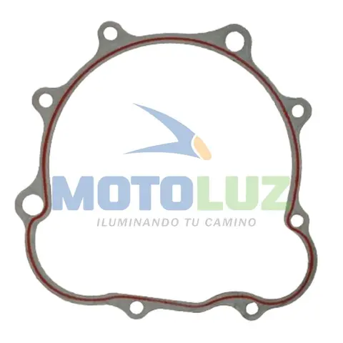 EMPAQUE DE ALTERNADOR